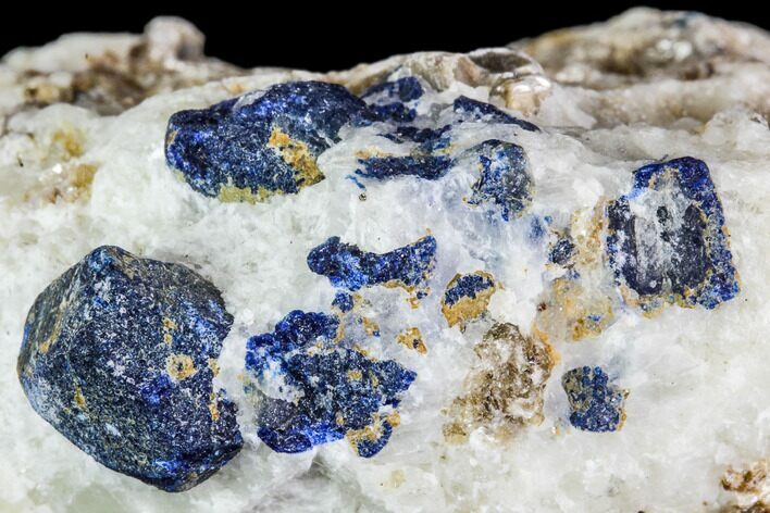 Lazurite and Muscovite in Marble Matrix - Afghanistan #111786